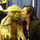 Me and yoda.thumb